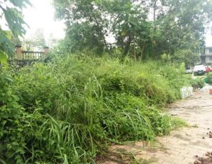 Terrain à Pigeon (Ngaliema) 12m sur 20m 55.000$